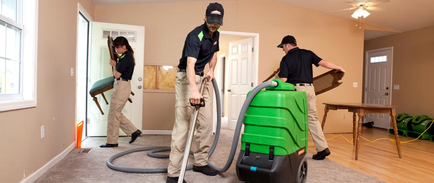 Lake Fern, FL cleaning services